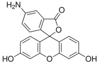 MC64057 5(6)-Aminofluorescein 27599-63-9 5(6)-氨基荧光素