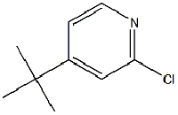 MC76656 4-tert-butyl-2-chloropyridine 81167-60-4 4-(叔丁基)-2-氯吡啶