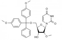 MC60206 5'-O-(4,4'-dimethoxytrityl)-2'-O-methyluridine 103285-22-9 5'-O-(4,4'-二甲氧基三苯基甲基)-2'-甲氧基尿苷