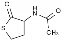 MC81230 2-Acetamido-4-Mercaptobutyric Acid Gamma-Thiolactone 1195-16-0 N-(四氢-2-氧代-3-噻吩)乙酰胺
