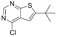 MC65550 6-Tert-Butyl-4-Chlorothieno[2,3-D]Pyrimidine 439692-55-4 6-叔丁基-4-氯-噻吩[2,3-D]嘧啶
