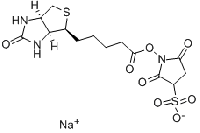 MC26105  BIOTIN SULFO-OSU  [119616-38-5]