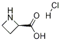 MC74837 2-Azetidinecarboxylic acid, hydrochloride, (2R)- 647854-72-6 (R)-氮杂环丁烷-2-羧酸盐酸盐
