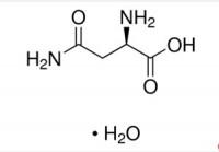 MC20273  D-天冬酰胺一水物  [5794-24-1]