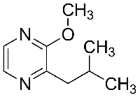 MC63723 2-Isobutyl-3-Methoxypyrazine 24683-00-9 2-异丁基-3-甲氧基吡嗪