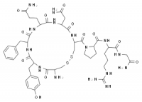 MC80117 Arg-vasopressin 113-79-1 精氨酸加压素