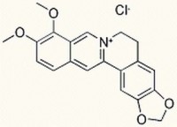 MC30593  盐酸小檗碱  [633-65-8]