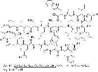 MC41233  内皮素-1  [117399-94-7]