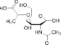 MC40548  N-乙酰胞壁酸  [10597-89-4]