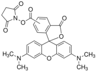 MC63718 5(6)-Carboxy-tetramethylrhodamine N-succinimidyl ester 246256-50-8 5(6)-羧基四甲基罗丹明琥珀酰亚胺酯