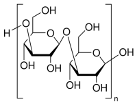 MC51713  β-1,3-葡聚糖  [9051-97-2]
