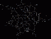 MC117632 CM- Β-CD,羧甲基-倍他-环糊精 [218269-34-2]