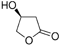 MC50148  (S)-(-)-β-羟基-γ-丁内酯  [7331-52-4]