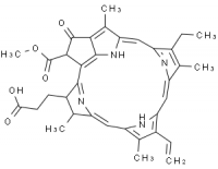 MC31785  脱镁叶绿酸盐 A  [15664-29-6]