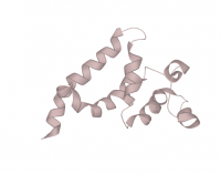 MP20003 BCL-10 Primary Antibody MP20003 [M4F8]