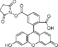 MC81107 6-Carboxyfluorescein N-hydroxysuccinimide ester 92557-81-8 6-羧基荧光素琥珀酰亚胺酯