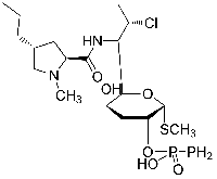 MC63729 Clindamycin Phosphate 24729-96-2 克林霉素磷酸酯