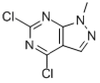 MC79391 4,6-dichloro-1-methyl-1H-pyrazolo[3,4-d]pyrimidine 98141-42-5 4,6-二氯-1-甲基-1H-吡唑并[3,4-D]嘧啶