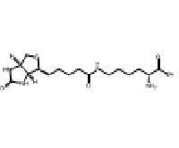 MC27465  Biocytin  [576-19-2]