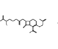 MC74056 Cephalosporin C Zinc Salt 59143-60-1 头孢菌素C锌盐