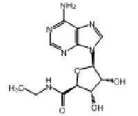 MC85074 5’-Ethylcarboxamido Adenosine 35920-39-9 5’-Ethylcarboxamido Adenosine
