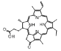 MC63707 Pyropheophorbide-a 24533-72-0 焦脱镁叶绿酸-a