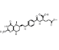 MC84895 Levomefolic Acid (See also L375720) 31690-09-2 L-5-甲基四氢叶酸
