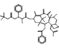 MC80447 10-Oxo Docetaxel 167074-97-7 10-羰基多西他赛