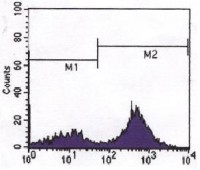 CD3 Primary Antibody MP20024 [M4D10A6]