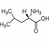 MC20044  L-亮氨酸（白氨酸）  [61-90-5]