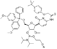 MC84001 5'-O-(4,4-Dimethoxytrityl)-N-[[4-(tert-butyl)phenoxy]acetyl]-2'-O-methylcytidine-3'-(2-cyanoethyl-N,N-diisopropyl)phosphoramidite 179486-26-1 5'-O-(4,4-二甲氧基三苯甲基)-N-[[4-(叔丁基)苯氧基]乙酰基]-2'-O-甲基胞苷-3'-(2-氰基乙基-N,N-二异丙基)亚磷酰胺