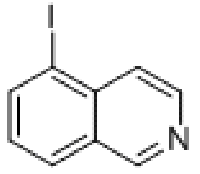 MC73925 Isoquinoline, 5-iodo- (9CI) 58142-99-7 Isoquinoline, 5-iodo- (9CI)