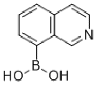MC75761 8-isoquinolinyl-boronic acid 721401-43-0 异喹啉-8-硼酸