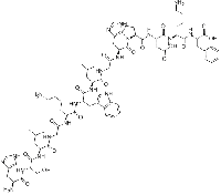 MC82404 PLP (139-151) 122018-58-0 (SER140)-MYELIN PROTEOLIPID PROTEIN (139-151) (DEPALMITOYLATED) (HUMAN, BOVINE, DOG, MOUSE, RAT)