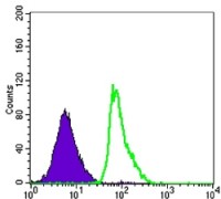 FCER2 Primary Antibody MP30138 [M5B5]