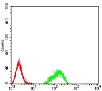 HIST2H4A(20Me3) Primary Antibody MP30890 [M7A2E10]