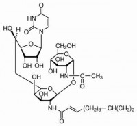 MC17119  衣霉素  [11089-65-9]