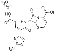 MC80144 Ceftibuten dihydrate 118081-34-8 头孢布烯二水合物