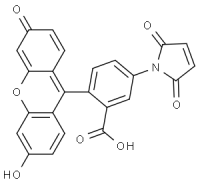 MC80936 Fluorescein-5-Maleimide 75350-46-8 荧光素5-马来酰亚胺