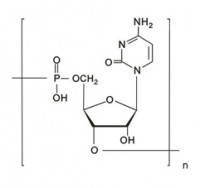 MC64345 polycytidylic acid 30811-80-4 聚胞苷酸