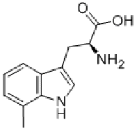 MC98666 (S)-2-AMINO-3-(7-METHYL-1H-INDOL-3-YL)-PROPIONIC ACID 33468-36-9 L-7-甲基色氨酸