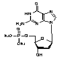 MC64203 2'-Deoxyadenosine 5'-monophosphate disodium salt 2922-74-9 脱氧腺苷酸二钠