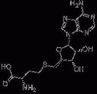 MCS31798  S-(5'-腺苷)-L-高半胱氨酸 [979-92-0]
