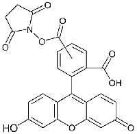 MC41239  5(6)-羧基荧光素琥珀酰亚胺酯  [117548-22-8]