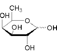 MC46446  D(+)岩藻糖  [3615-37-0]