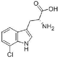 MC76082 7-CHLORO-D-TRYPTOPHAN 75102-74-8 7-氯-D-色氨酸