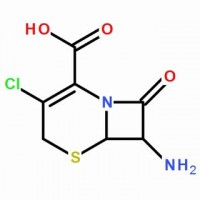 MC73353 7-Amino-3-Chloro-3-Cephem-4-Carboxylic Acid 53994-69-7 7-氨基-3-氯-3-头孢环-4-羧酸