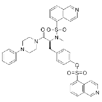 MC82683 KN-62 127191-97-3 KN-62