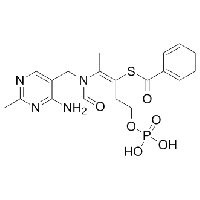 MC84517 Benfotiamine  [22457-89-2]