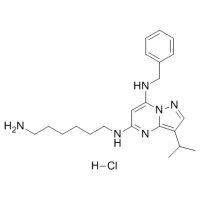 MC80321 BS-181 (hydrochloride) 1397219-81-6 BS-181 (hydrochloride)
